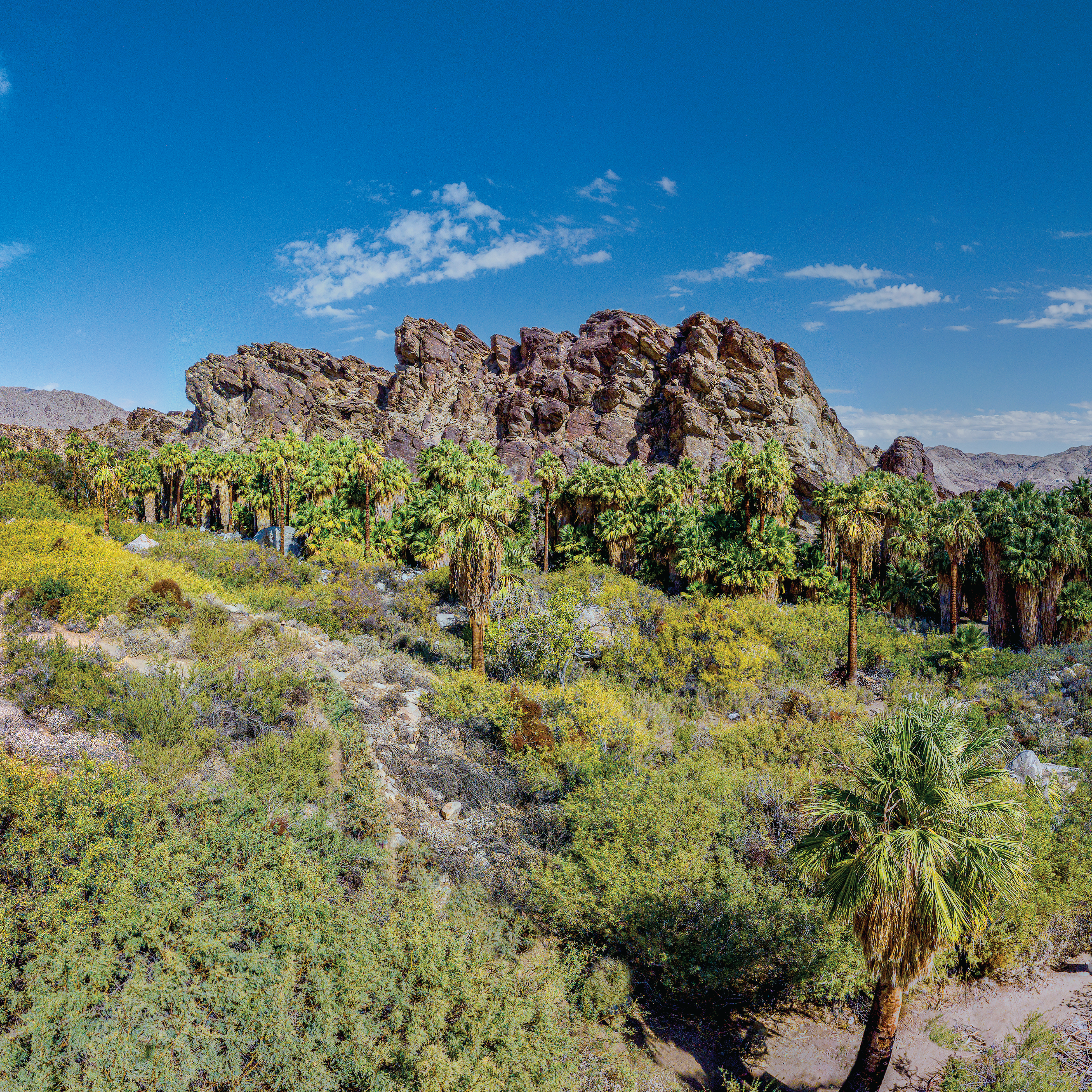 Andreas Indian Canyons